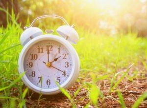 white alarm clock sits on sprouting grass